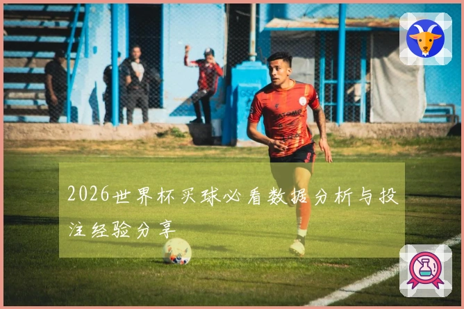 2026世界杯买球必看数据分析与投注经验分享