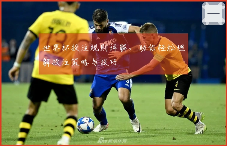 世界杯投注规则详解，助你轻松理解投注策略与技巧