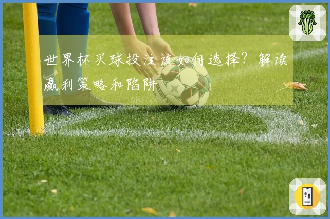 世界杯买球投注该如何选择？解读赢利策略和陷阱