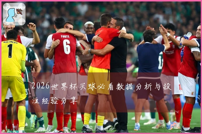 2026世界杯买球必看数据分析与投注经验分享