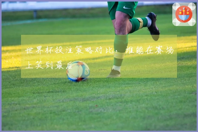 世界杯投注策略对比，谁能在赛场上笑到最后
