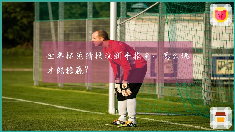 世界杯竞猜投注新手指南，怎么玩才能稳赢？