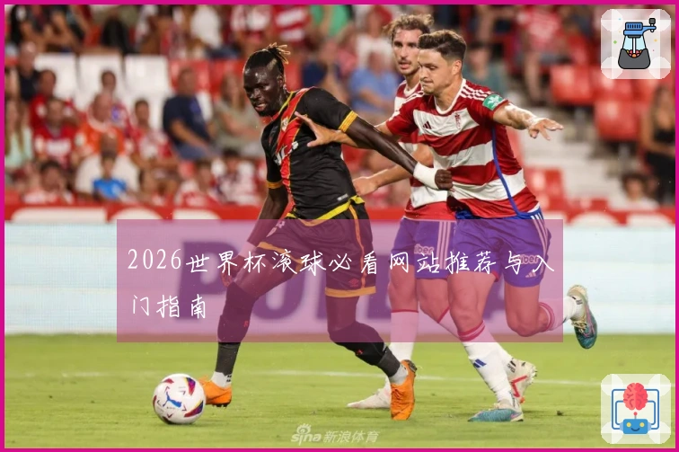 2026世界杯滚球必看网站推荐与入门指南