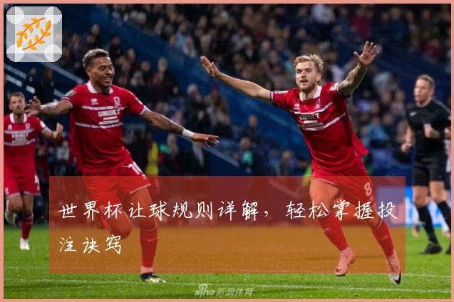 世界杯让球规则详解，轻松掌握投注诀窍