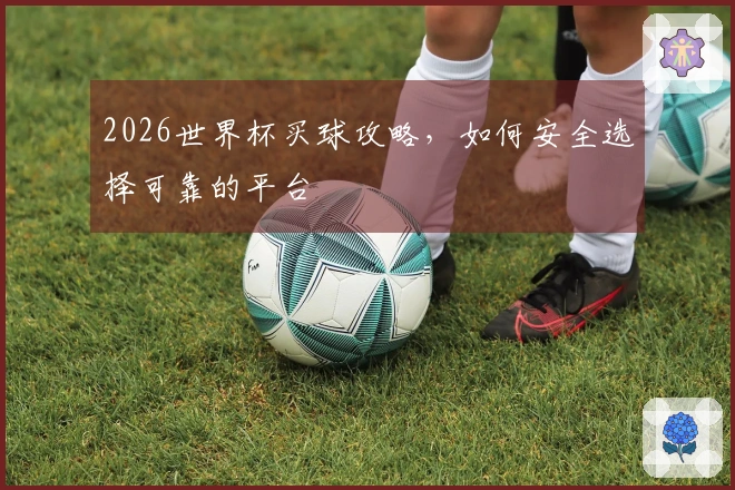2026世界杯买球攻略，如何安全选择可靠的平台