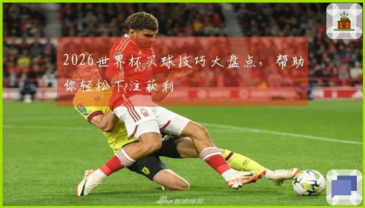 2026世界杯买球技巧大盘点，帮助你轻松下注获利